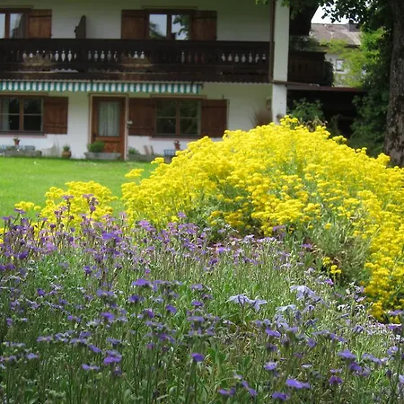 Elisabeth Am Lägenhet *