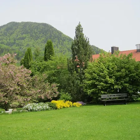 Elisabeth Am Lägenhet